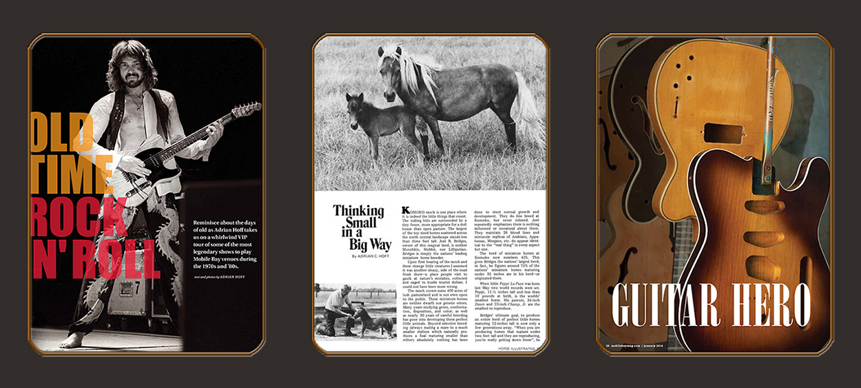 General Interest - 01